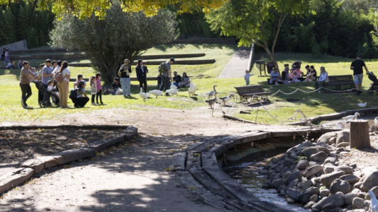 La Granja de la Infancia celebra 26 años con actividades ecológicas y un festival folclórico