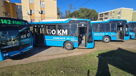 Rosario renueva su transporte: veinte colectivos de la línea 142 ya recorren la ciudad