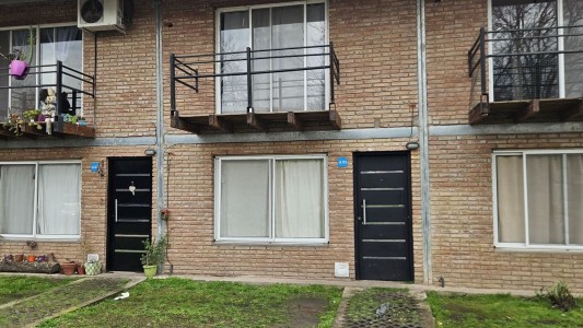 Una pelea de pareja destapó un vivero de marihuana: hay tres detenidos