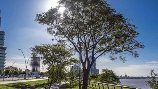 Tiempo en Rosario: mañana invernal, sol a pleno y temperaturas en aumento