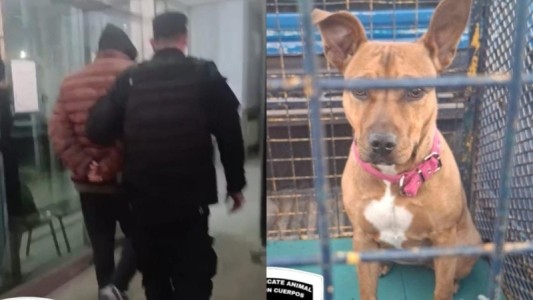 Bruna, la perrita maltratada, ya está a salvo y recibe atención veterinaria tras la detención de su agresor