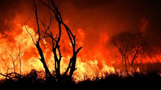 Detectan nuevos focos de incendios en las islas frente a Rosario