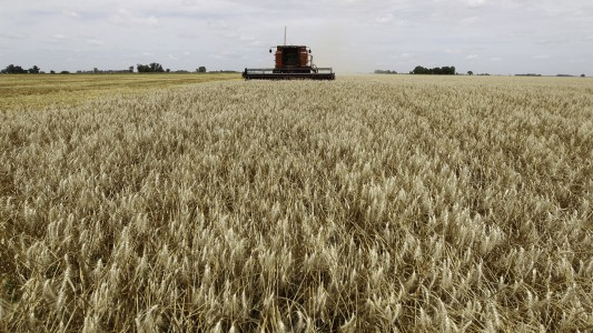 La Federación Agraria cuestiona la rebaja de retenciones: “No genera certeza ni beneficia al campo chico”