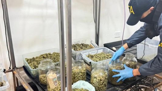 Megaoperativo antidrogas en Rosario y la región: 21 allanamientos y 16 detenidos