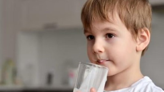 Nuevos montos para el Plan Mil Días (ex Complemento Leche) en noviembre