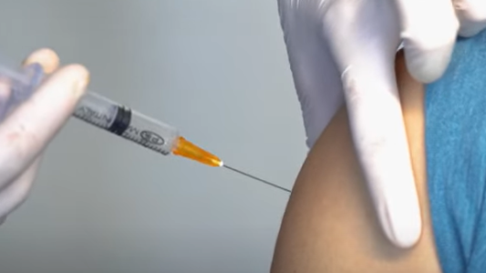 Fiebre amarilla: el país mantiene una situación estable pero refuerza la vacunación en zonas de riesgo