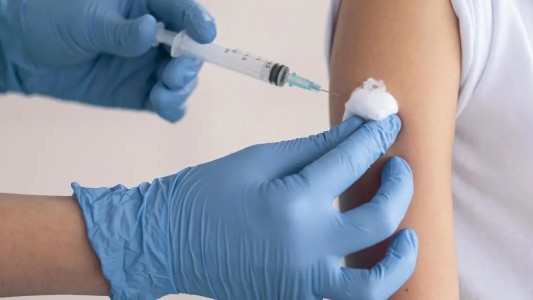 Crecen los casos de fiebre amarilla en países vecinos: en Rosario la vacuna solo se consigue de forma privada