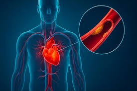¿El corazón humano puede seguir latiendo fuera del cuerpo? Qué dice la ciencia sobre este impactante fenómeno