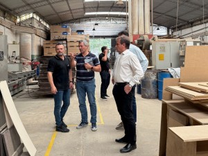 Acuerdo Santa Fe Muebles: una iniciativa para reactivar el rubro