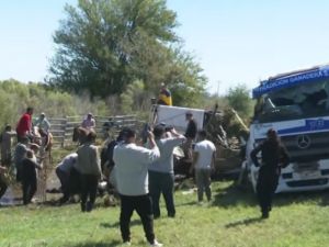 Volcó un camión de carga en la Autopista Rosario-Santa fe: fallecieron 4 vacas