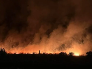 Voraz incendio forestal cerca de Mar del Plata arrasó más de 200 hectáreas