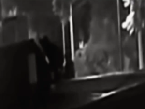 San Lorenzo: robaron una casa mientras una familia dormía