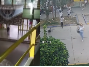 Nueva detención en San Cristóbal: investigan vínculos con una red internacional