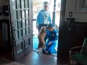 El emotivo reencuentro de la astronauta de Artemis II con su perra tras regresar de la misión a la Luna