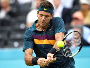Robaron en la casa de Juan Martín del Potro tras destrozar una ventana de la propiedad