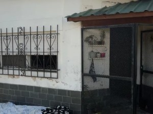 Un incendio en la zona oeste dejó 14 mascotas muertas y graves daños en una vivienda