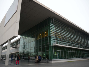 Empalme Graneros: le disparó porque no vendía drogas