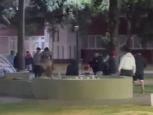 Violenta pelea entre jóvenes en una plaza de Roldán: un joven terminó con la mandíbula fracturada