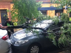 Fuerte tormenta en Rosario con vientos de hasta 80 kilómetros por hora dejó decenas de reclamos en Defensa Civil
