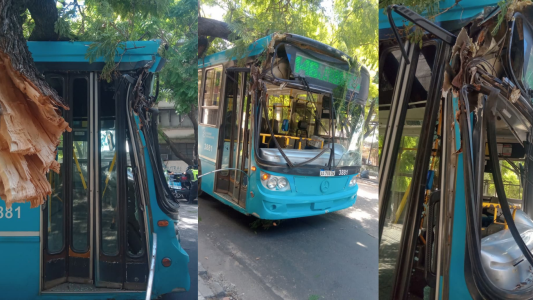 Colectivo de la línea 146 chocó contra una rama en calle Salta al 3500
