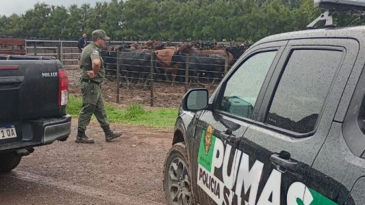 La Policía Rural recuperó 161 animales tras una denuncia del influencer La Joya Agro