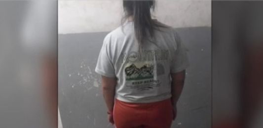 Habló la dueña del pitbull que atacó a una niña: “los chicos le viven tirando piedras”