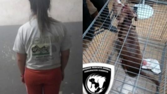 Un pitbull atacó a una nena de seis años y terminó hospitalizada