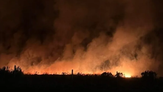 Voraz incendio forestal cerca de Mar del Plata arrasó más de 200 hectáreas