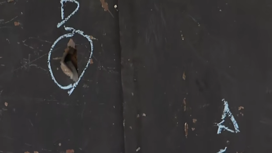 Ataque a balazos contra una barbería en barrio Las Flores