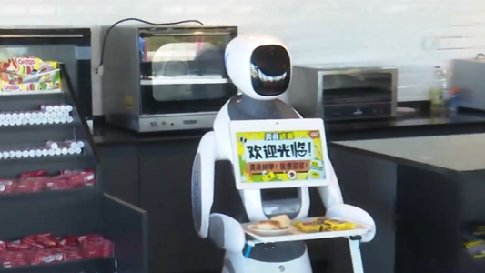 Atendidos por sus propios...¡Robots!