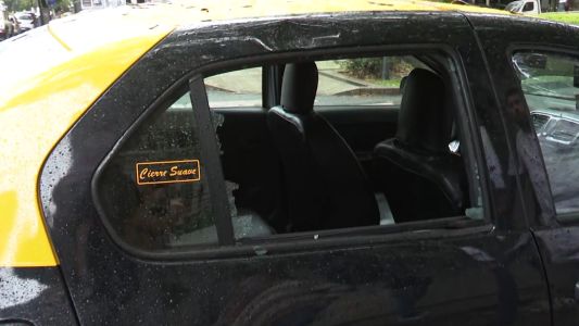 Una rama cayó sobre un taxi: lo dejó destruido y fuera de servicio