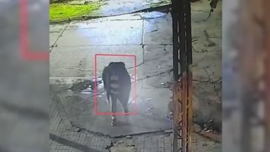 Rompieron el vidrio de un minimarket: se trata del séptimo robo en menos de un año