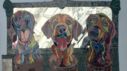 Comenzó a funcionar la guardia del Hospital Animal