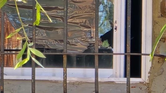 Asesinaron a una mujer de un disparo en el tórax