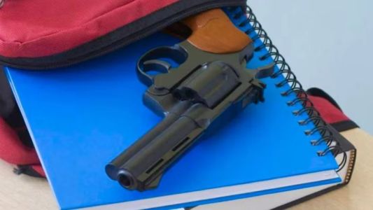 Detuvieron a la madre del chico que llevó un arma falsa a la escuela