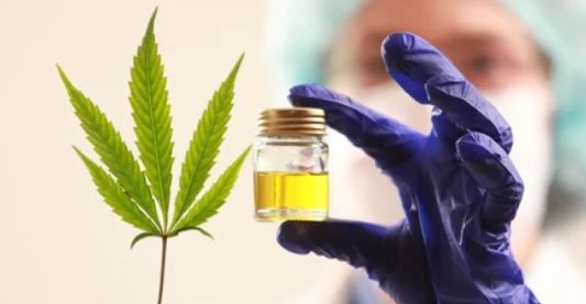 Investigadores chinos desarrollan una molécula a partir de cannabis medicinal