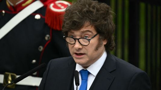 Milei sobre García Cuerva: “Su opinión es válida, pero el término terrorismo es exagerado”