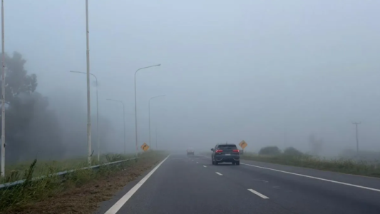 Alerta violeta por niebla en Rosario y la región: visibilidad reducida en rutas