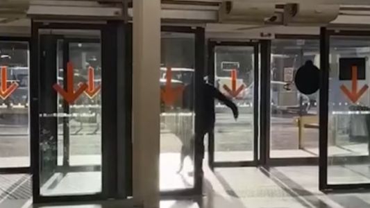 Echó a patadas a un perro de la terminal y podría recibir sanciones por maltrato animal