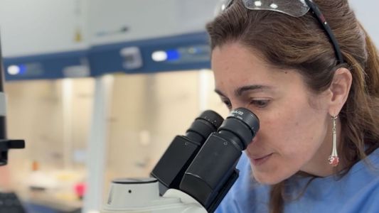 La UBA investiga una nueva terapia para reducir el tiempo de tratamiento contra la tuberculosis