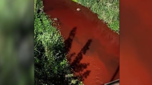 Contaminación ambiental en Casilda: el arroyo Candelaria apareció teñido de rojo