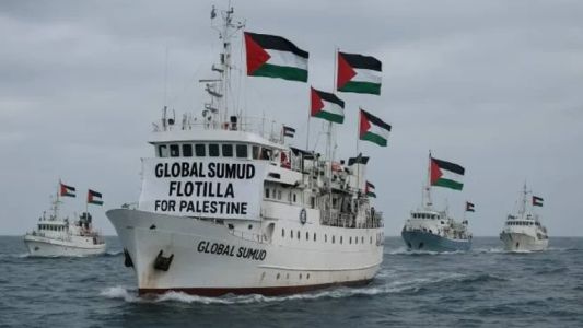 La ONU exhorta a Israel a liberar “de inmediato” a activistas de la flotilla de Gaza