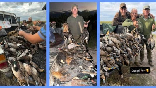Caza ilegal en Santa Fe: investigan la matanza de más de 300 animales y fauna protegida en el norte provincial
