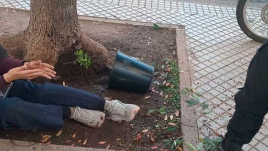 Una mujer fue herida tras caerle una maceta con una planta de marihuana en pleno centro