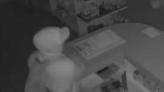 Rompió la reja de una pinturería y se llevó 73.000 pesos en menos de un minuto