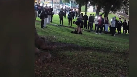 Violenta pelea de adolescentes frente al Monumento a la Bandera