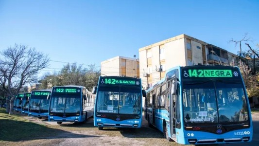 Rosario renueva su transporte público: se suman 20 colectivos nuevos en la ciudad