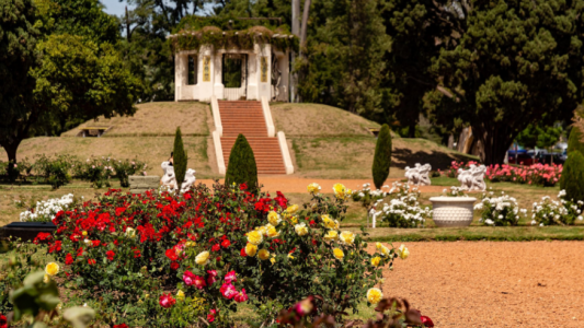 Un Día de los Enamorados: 16 parejas rosarinas sellan su amor en el Rosedal