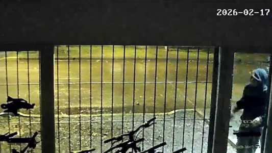 Detenidos en pleno robo: llegó la policía mientras robaban en una bicicletería