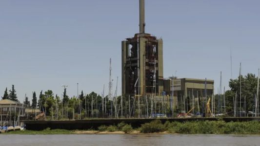 Apareció un ciervo muerto en el río Paraná, a la altura de la Usina Sorrento